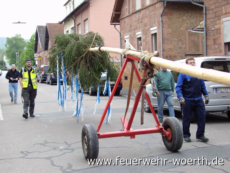 maibaum_2009_ 009.jpg